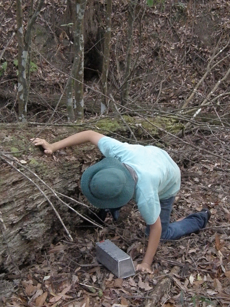 Science surveys at Callicoma Hill